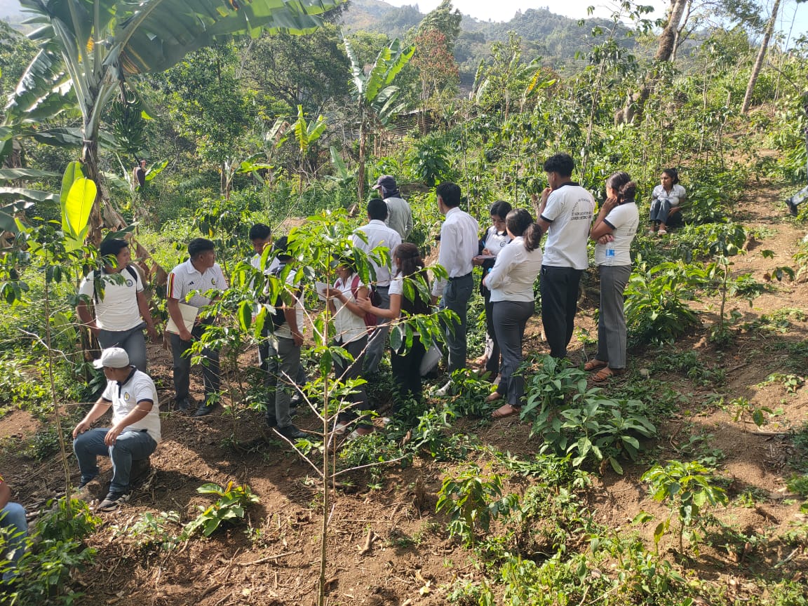 Actividad institucional 3